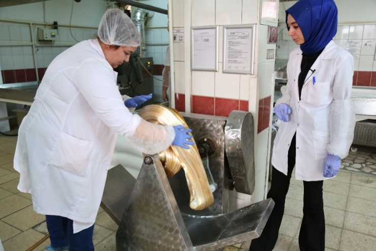 Ko-mek, Pişmaniye Kurslarına Başlıyor