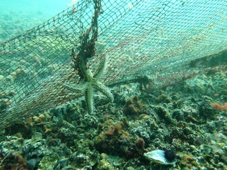 Çanakkale Boğazı Hayalet Ağlardan Temizleniyor