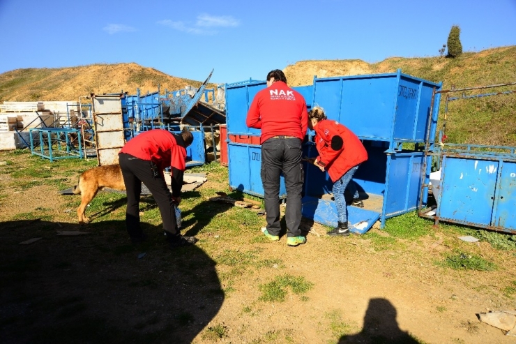 Yüzlerce Sokak Hayvanını Beslemek İçin Yarım Ton Mama Dağıttılar