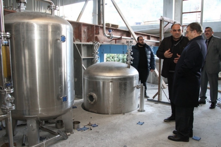 Rize Şekeri İçin Fabrika Kuruluyor