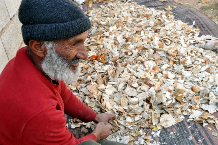 Suriyeli Mülteci Çöpten Topladığı Ekmekten Para Kazanıyor
