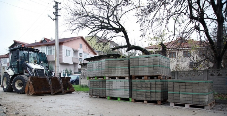 Saski, Yenileme Çalışmalarına Başladı