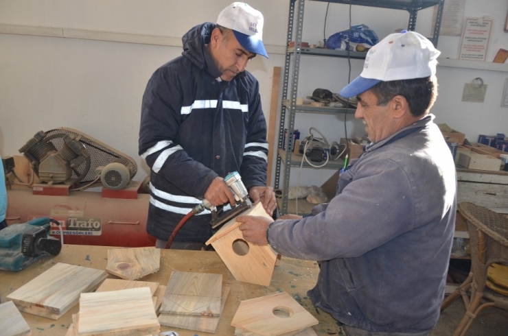 Seyitgazi Belediyesi’nden Kuşlara Sıcak Yuvalar