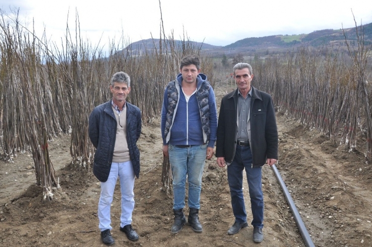 Türkiye’nin Çöğürünü İnegöl Karşılıyor