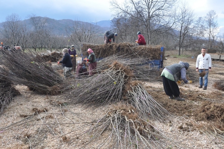 Türkiye’nin Çöğürünü İnegöl Karşılıyor