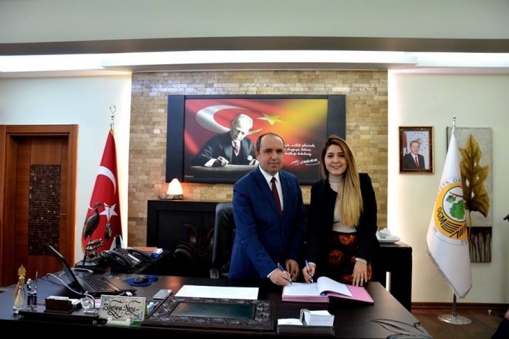 Yeşilırmak Havzası’ndaki Ormanlar Saleple Donatılacak