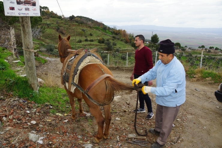 Randevu İle Nal Çakıyor
