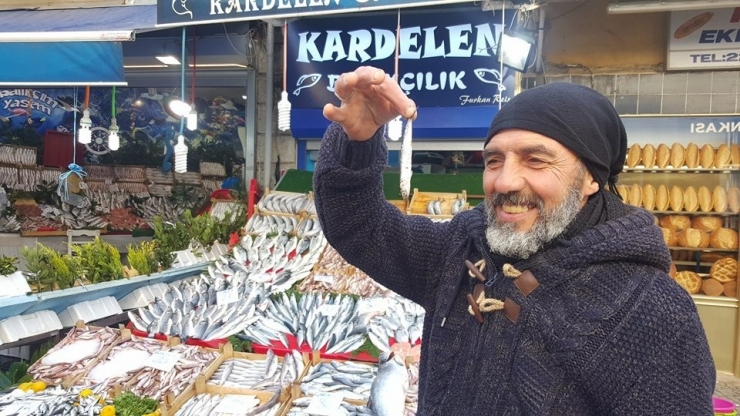 Hamsinin Fiyatı Kıymayla Yarışıyor