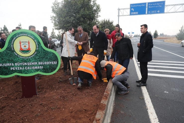Başkan Çiftçi Şuski Personelleriyle Ağaç Dikti
