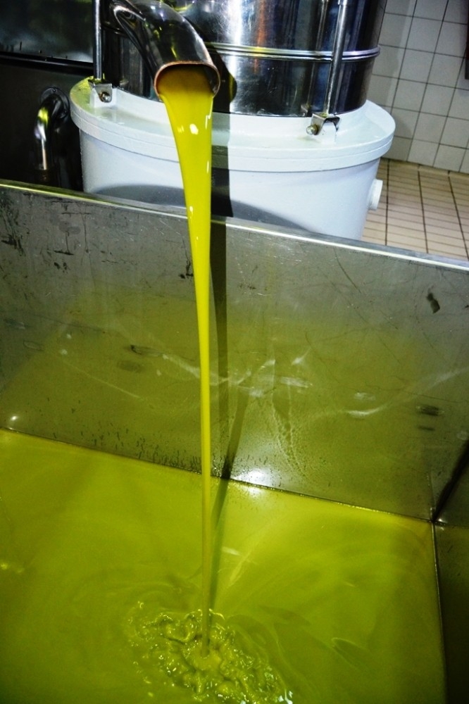 Aydınlıoğlu’dan Zeytinyağı Üreticilerine Müjdeli Haber