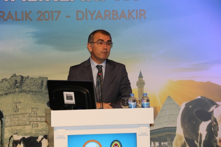 Diyarbakır’da ‘Buzağılarda Bakım Beslenme Ve Buzağı Hastalıkları’ Konferansı