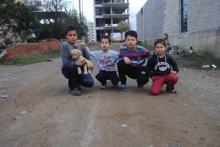 İnternetten Bıkan Çocuklar Doğal Yaşama Geri Döndü