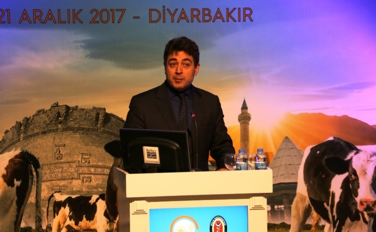 Diyarbakır’da ‘Buzağılarda Bakım Beslenme Ve Buzağı Hastalıkları’ Konferansı