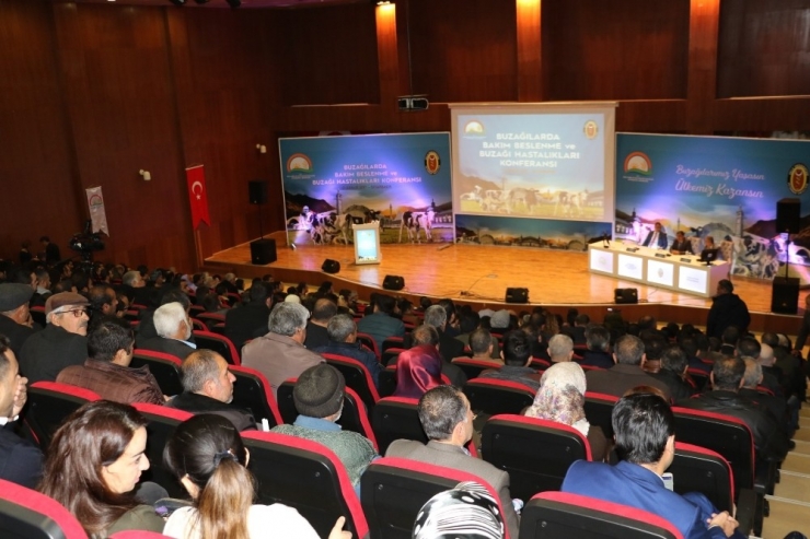 Diyarbakır’da ‘Buzağılarda Bakım Beslenme Ve Buzağı Hastalıkları’ Konferansı
