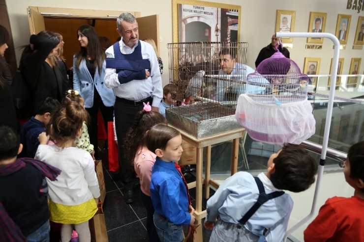 Minik Ellerden Doğaya Büyük Dokunuş