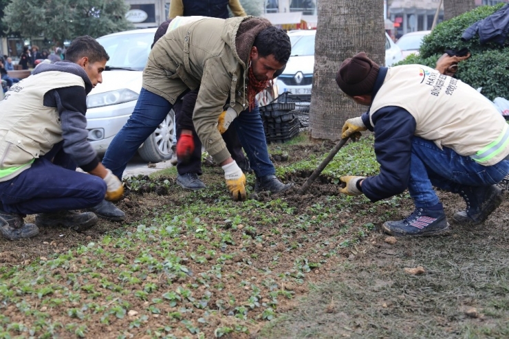 Hatay’da Çiçeklendirme Çalışmaları