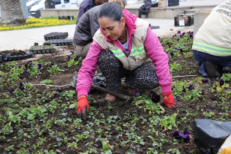 Hatay’da Çiçeklendirme Çalışmaları