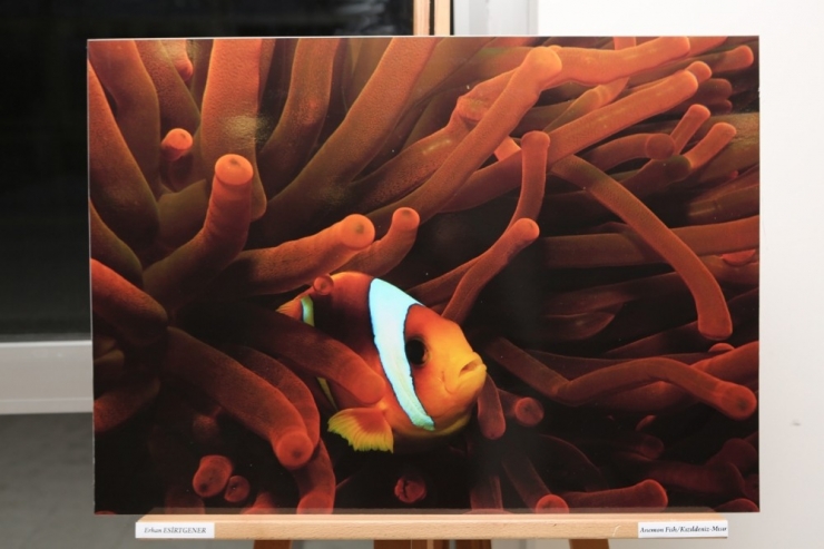 Su Altındaki Atatürk Büstünde Türk Bayrağı Açtılar