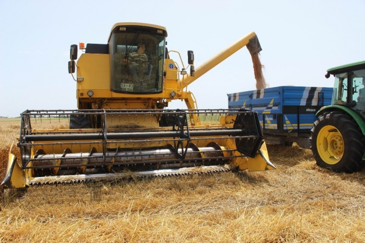 Tekirdağ’da 30 Bin Çiftçiye 140 Milyon Destek Ödemesi Yapılacak