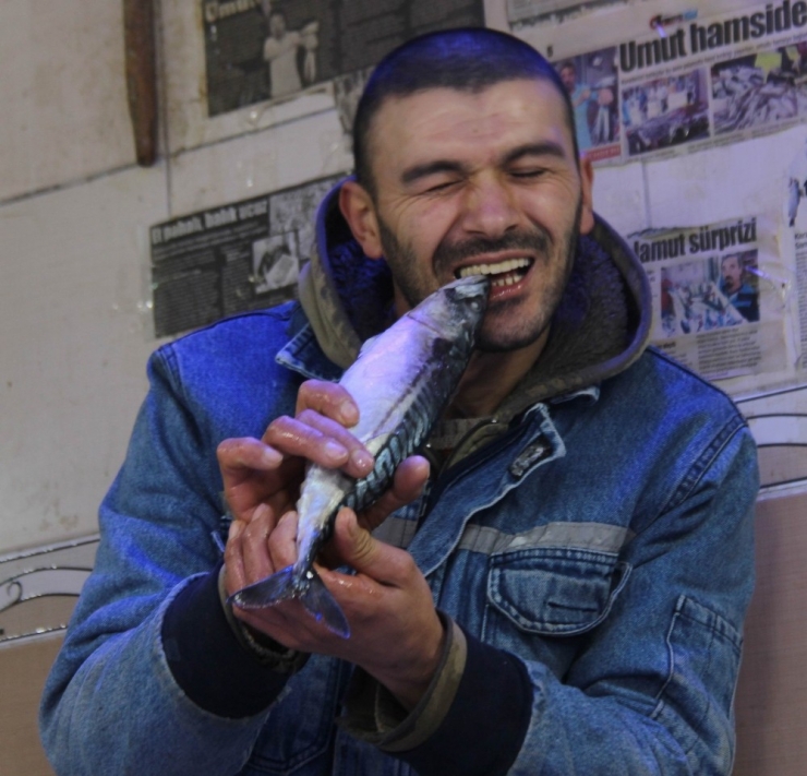 Hamsi Soğuk Sulara Kaçınca Balık Fiyatları Arttı