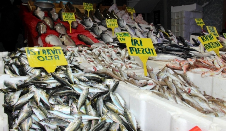 Hamsi Soğuk Sulara Kaçınca Balık Fiyatları Arttı