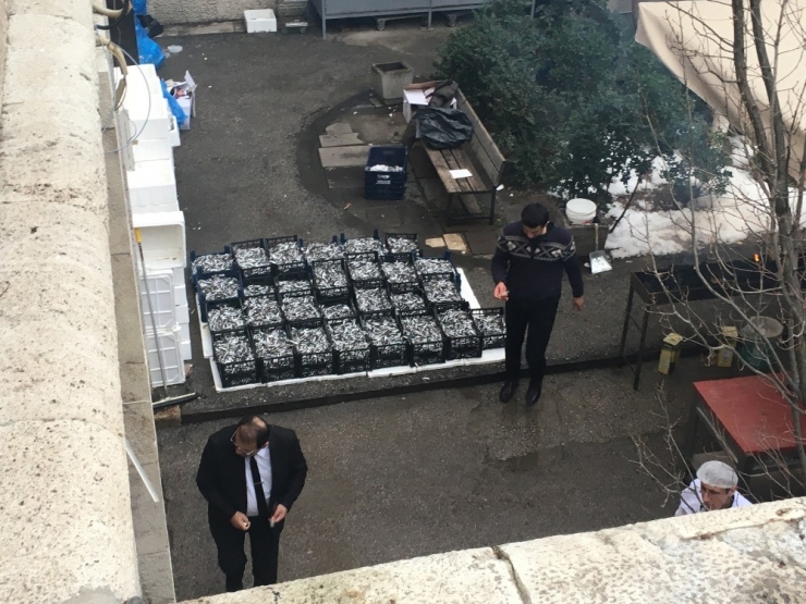 Tbmm’de Bütçe Görüşmeleri Sonunda Vekillere Hamsi İkram Edilecek