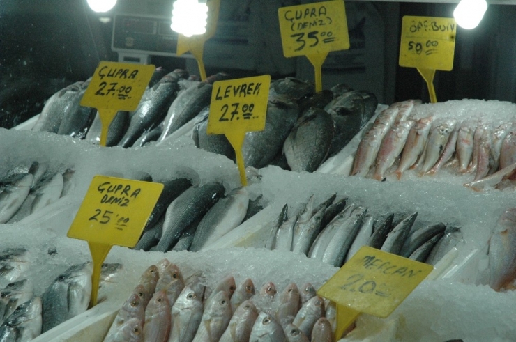 Kahramanmaraş’ta Balık Fiyatları Tavan Yaptı