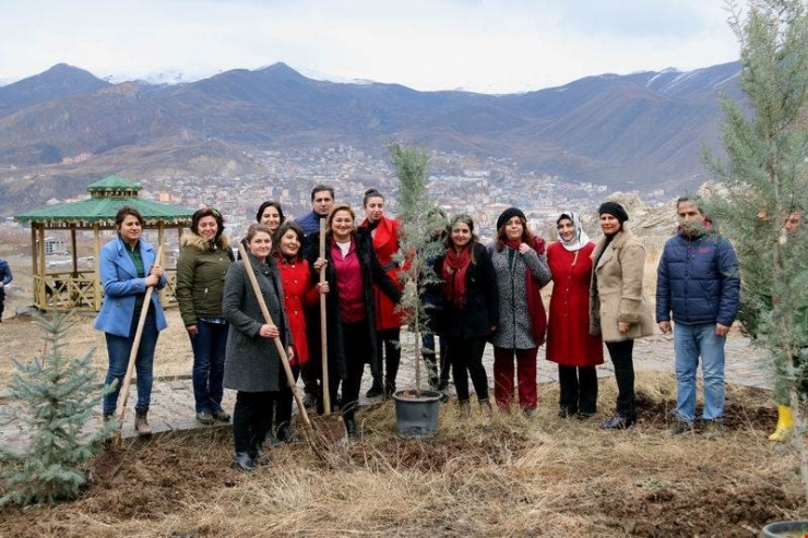 Hakkari’deki Bereket Ormanlarına Fidan Dikildi