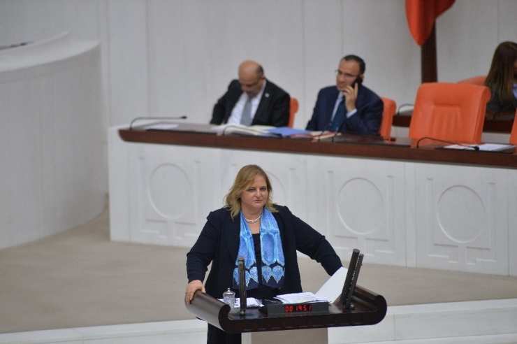 2018 Bütçe Görüşmeleri