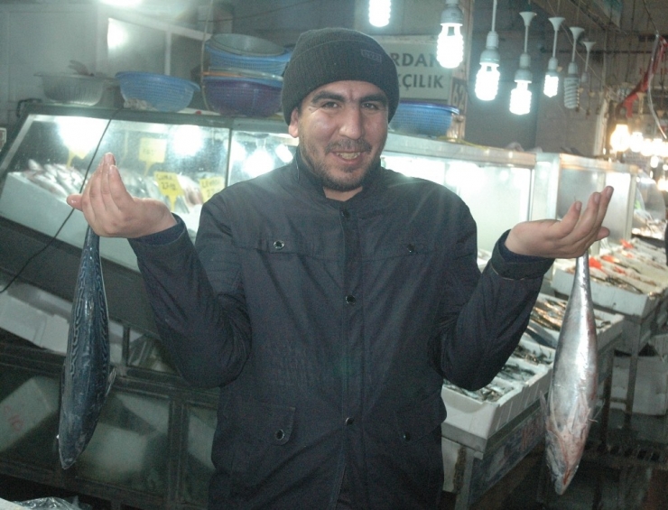 Kahramanmaraş’ta Balık Fiyatları Tavan Yaptı