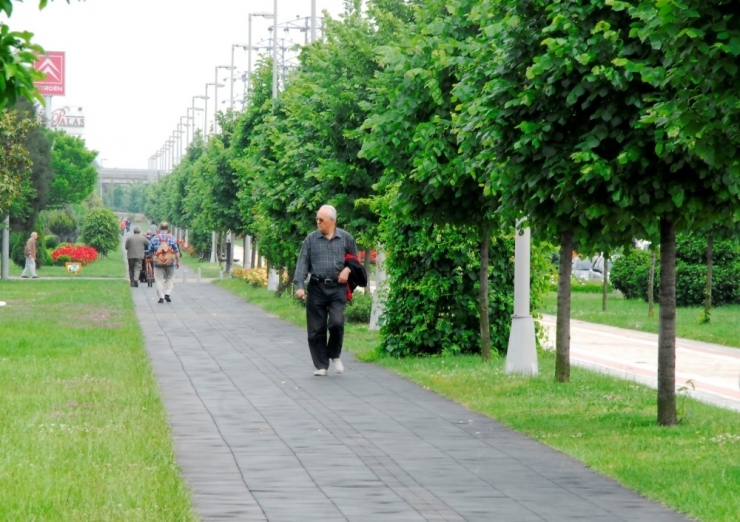 Yürüyüş Yolları Sağlıklı Kalmaya Yardımcı Oluyor