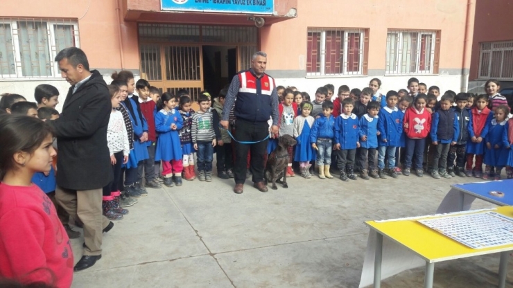 Öğrenciler Narkotik Köpeği ’Vicdan’ı Çok Sevdi