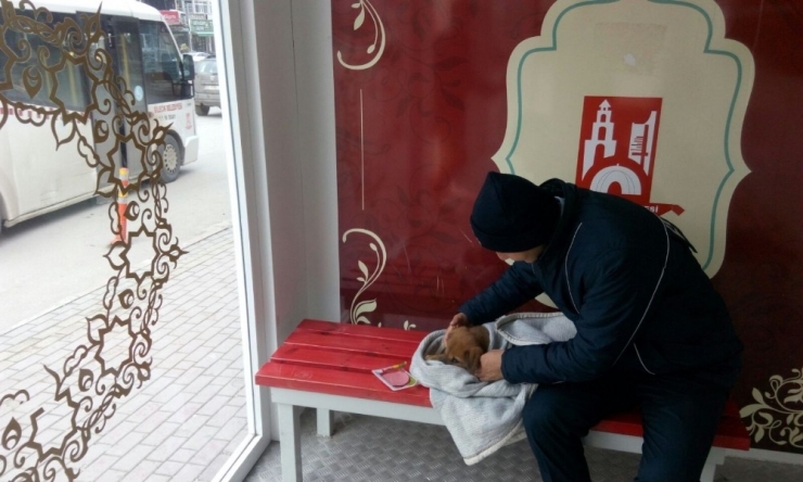 6k Akıllı Durakların Yeni Misafiri Minik Köpek Oldu