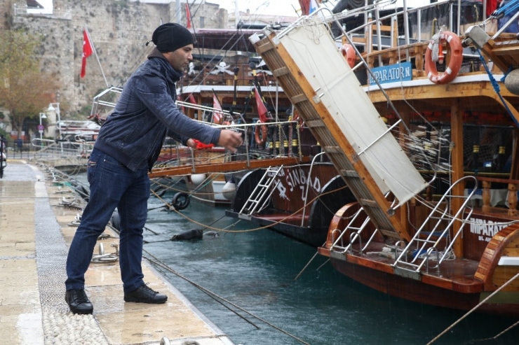 Yat Limanını Mesken Tutan Akdeniz Foku, Balıkçıların Maskotu Oldu