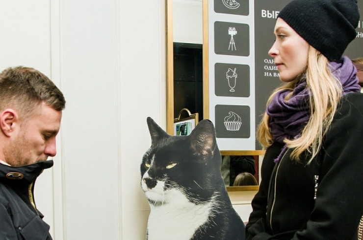 İstanbul Kedileri Rus Sinemalarında