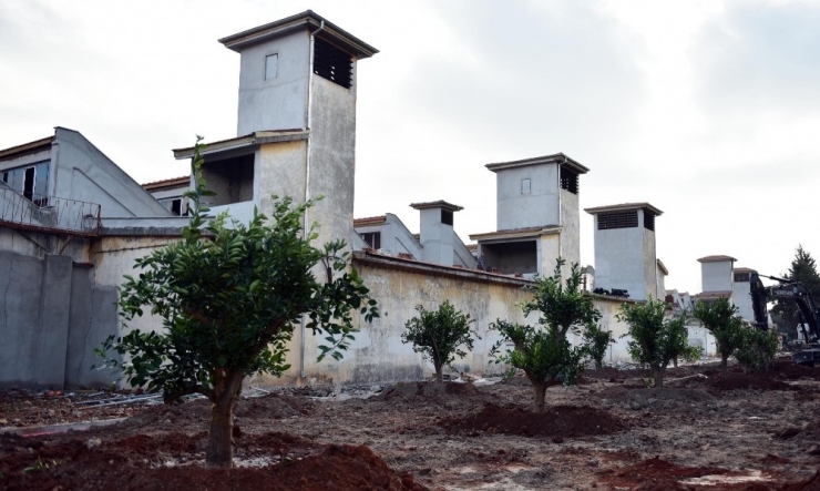 Dokuma Parkına Portakal Bahçesi