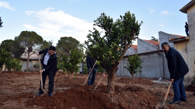 Dokuma Parkına Portakal Bahçesi