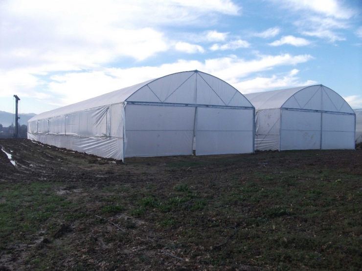 Büyükşehir’den Üreticilere Sera Desteği