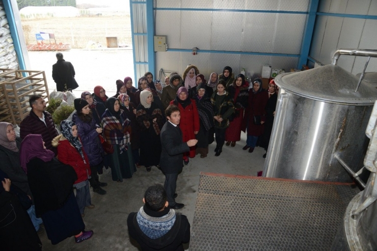 Seracılık Kursiyerleri Baçem’de