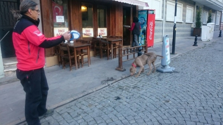 Kayıpları ’Keş’ Bulacak