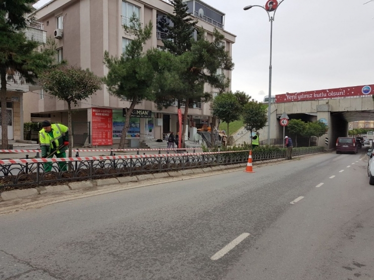 Büyükçekmece’nin Park Ve Bahçelerine Bakım