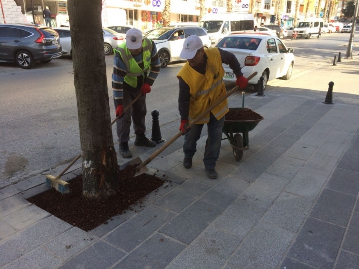 Büyükçekmece’nin Park Ve Bahçelerine Bakım