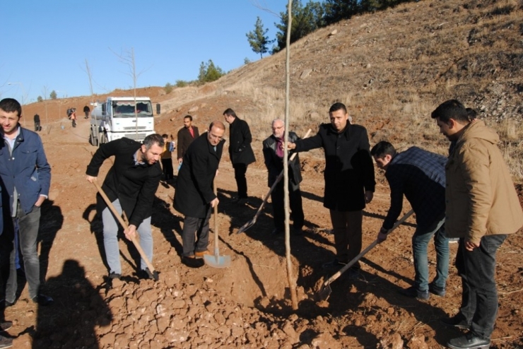 Nihat Çiftçi Ak Parti Teşkilatıyla Birlikte Ağaç Dikti