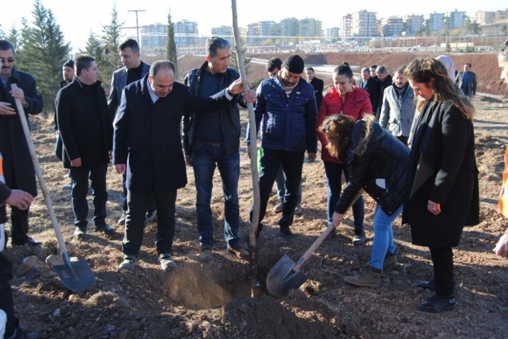 Nihat Çiftçi Ak Parti Teşkilatıyla Birlikte Ağaç Dikti