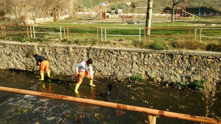 Bilecik Belediyesi’nden Dalakdere’de Kapsamlı Temizlik Çalışması