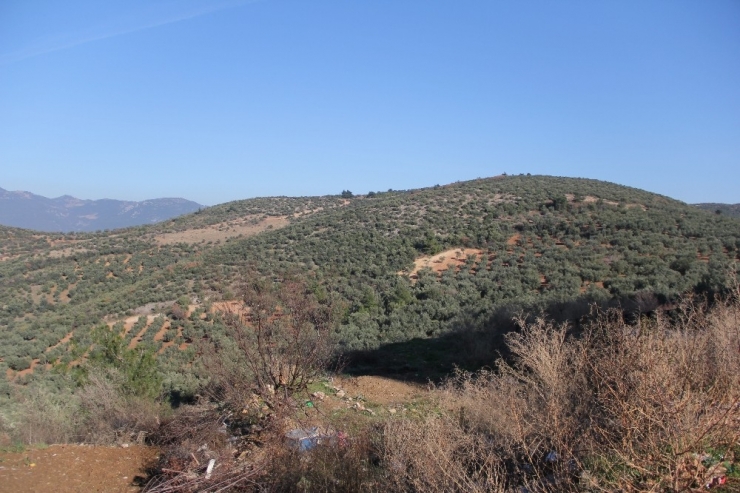 Bursa Çimento Fabrikası’na Şok Karar