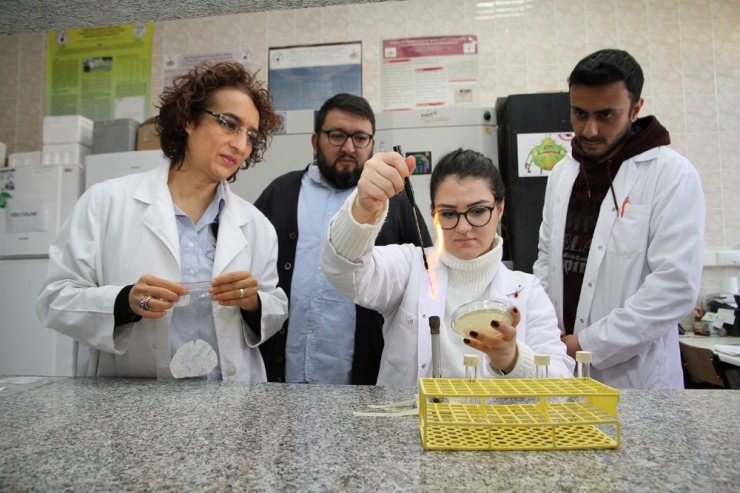 Bakterilerle Doğayı Koruyacaklar