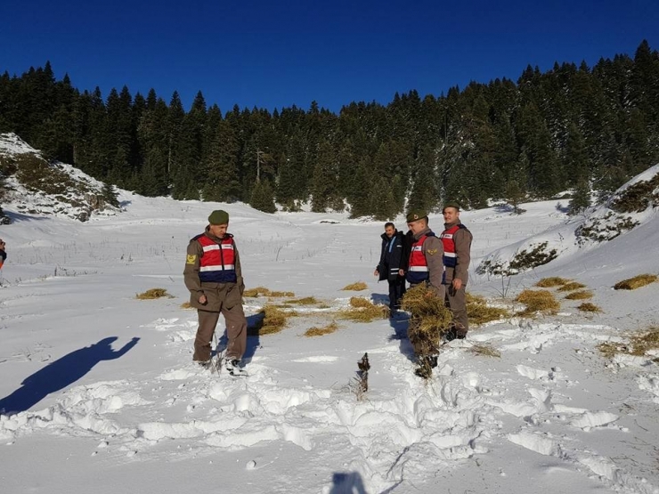 Yaban Hayvanları İçin Doğaya Yem Bıraktılar