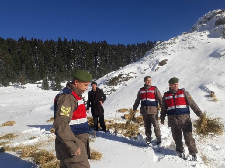 Yaban Hayvanları İçin Doğaya Yem Bıraktılar