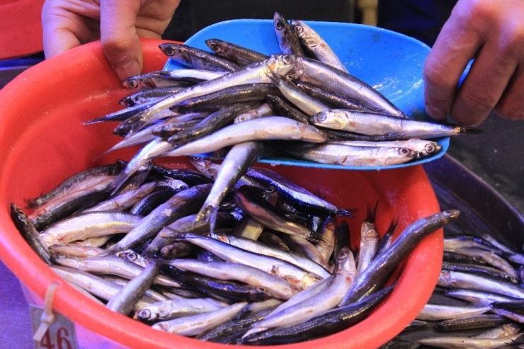 Hamsi Fiyatları Tavuk Fiyatlarını Solladı